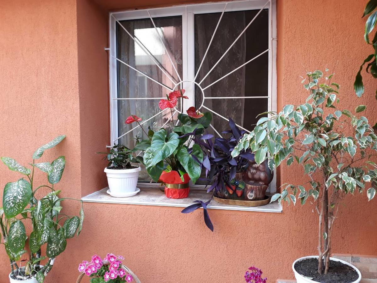 Guest House Yanina Sozopol Exterior photo
